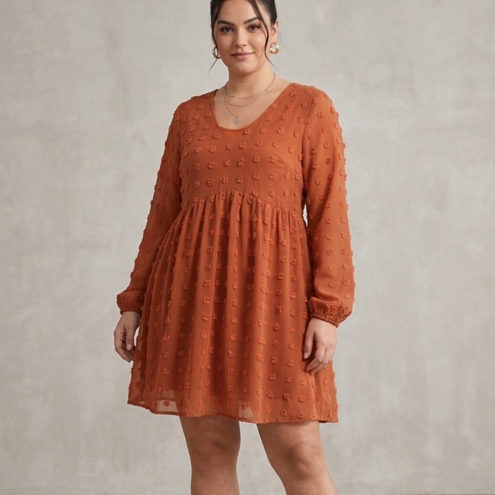 OURS BNWT Rust Textured Swiss-Dot Babydoll Dress